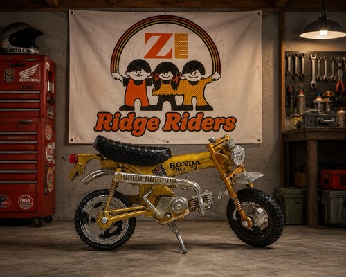 Vintage zee toys ridge - toys, rider